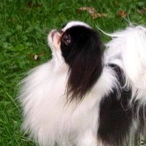 Meet your Posher, Stacey